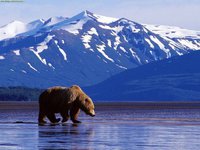 Alaska (2)