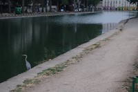 canal saint-martin