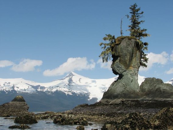 Natural Rock Face, Petersburgh, Alaska