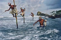 Sri Lanka, La Pêche Echasse