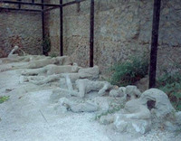 Pompei 8