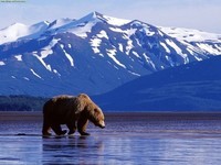 Alaska (2)