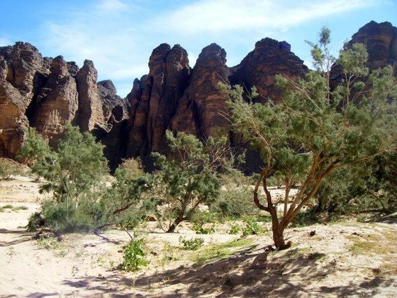 Algérie,  canyon des Essendiliens