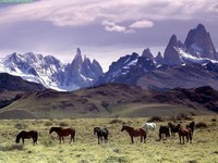 Andes Mountains, Patagonia, Argentina