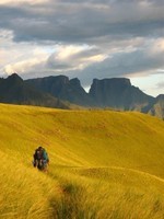 Drakensberg, Afrique du sud