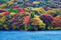 Lac Ashinoko, Japon