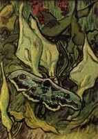 Van Gogh - Papillon