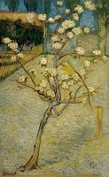 Van Gogh - Petit poirier - 1888