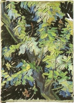 Van Gogh - Branches d'acacias en fleur