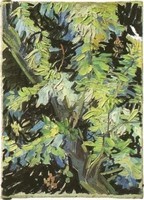 Van Gogh - Branches d'acacias en fleur