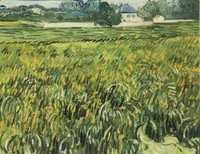 Van Gogh - Champ de blé et maison blanche