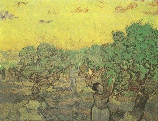 Van Gogh - La récolte des olives
