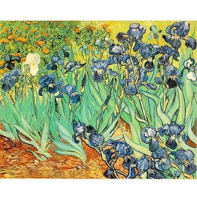 Van Gogh - Les iris