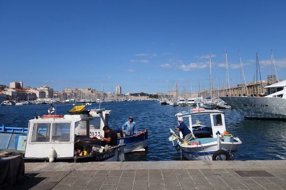 13 Marseille le bassin du vieux port