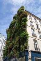 mur vegetal Paris