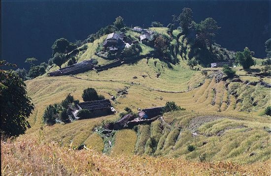 Nepal, Landrunk, Region des Annapurnas, POKHARA