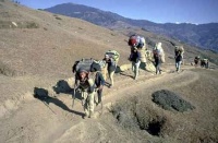 sherpas(khumbu).
