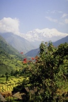Nepal 18