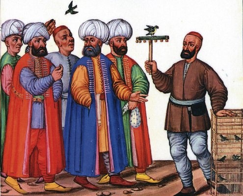 Oiseaux dans miniatures ottomanes 14