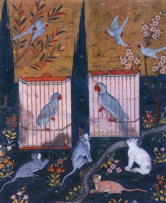 Oiseaux dans miniatures ottomanes 1