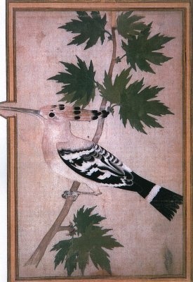 Oiseaux dans miniatures ottomanes 2