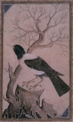 Oiseaux dans miniatures ottomanes 3