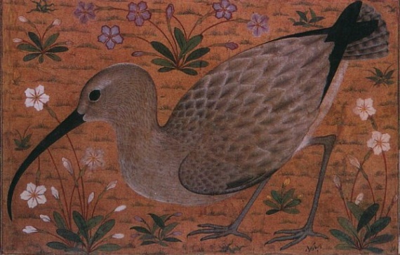 Oiseaux dans miniatures ottomanes 4