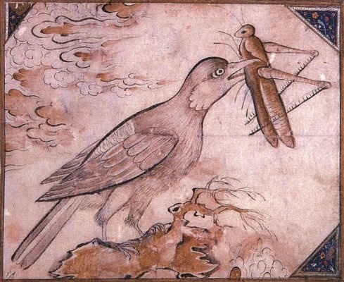 Oiseaux dans miniatures ottomanes 5