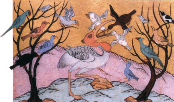 Oiseaux dans miniatures ottomanes 8