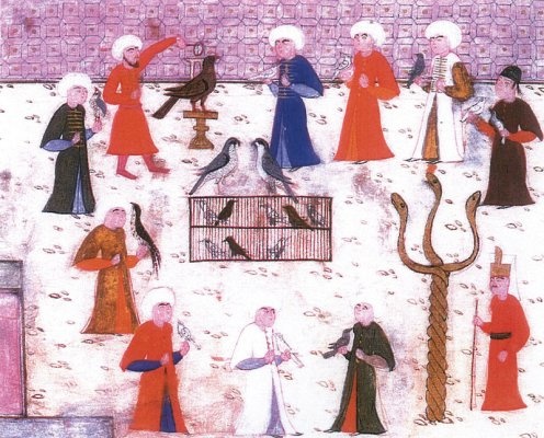 Oiseaux dans miniatures ottomanes 11