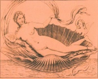 Vénus  et sa conque Anonyme, planche du Cabinet Secret du musée de Naples