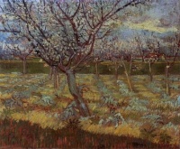 Van Gogh - Abricotiers en fleur