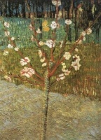 Van Gogh - Amandier en fleur