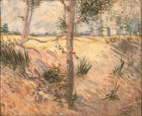 Van Gogh - Arbre dans un champ