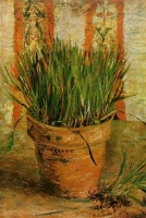 Van Gogh - Ciboulettes dans un pot