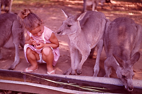 Australie 18 - Girl and kangaroos (2)