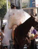 Godiva mariage_cheval