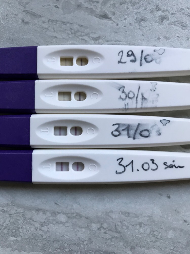 test ovulation Tests et symptômes de grossesse FORUM Grossesse