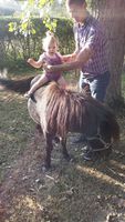Julia sur son mini cheval :)