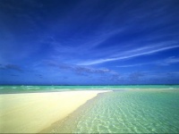 i-want-sand-wallpapers_264_800