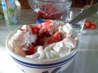 Quelques fraises et framboises et fraises de bois ... un peu de crème