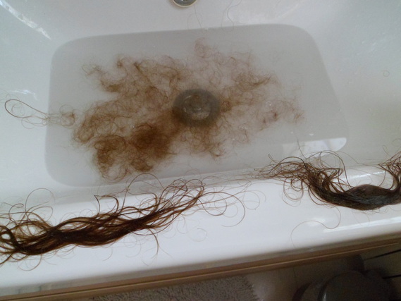 après le shampooing et le démélage... beaucoup de cheveux à récupérer (perruque cheveux naturels)