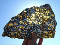pallasite_Arizona_Skies_Meteorites