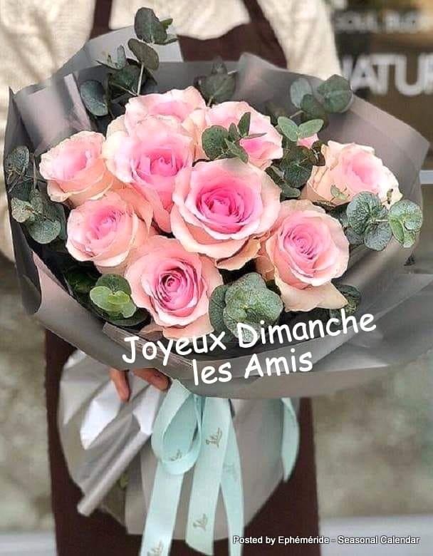 36cc9790 9eb0 462e c9 27f2f3968d Avril Crodiledundee Photos Club Doctissimo 36cc9790 9eb0 462e c9 27f2f3968d Avril Crodiledundee Photos Club Doctissimo