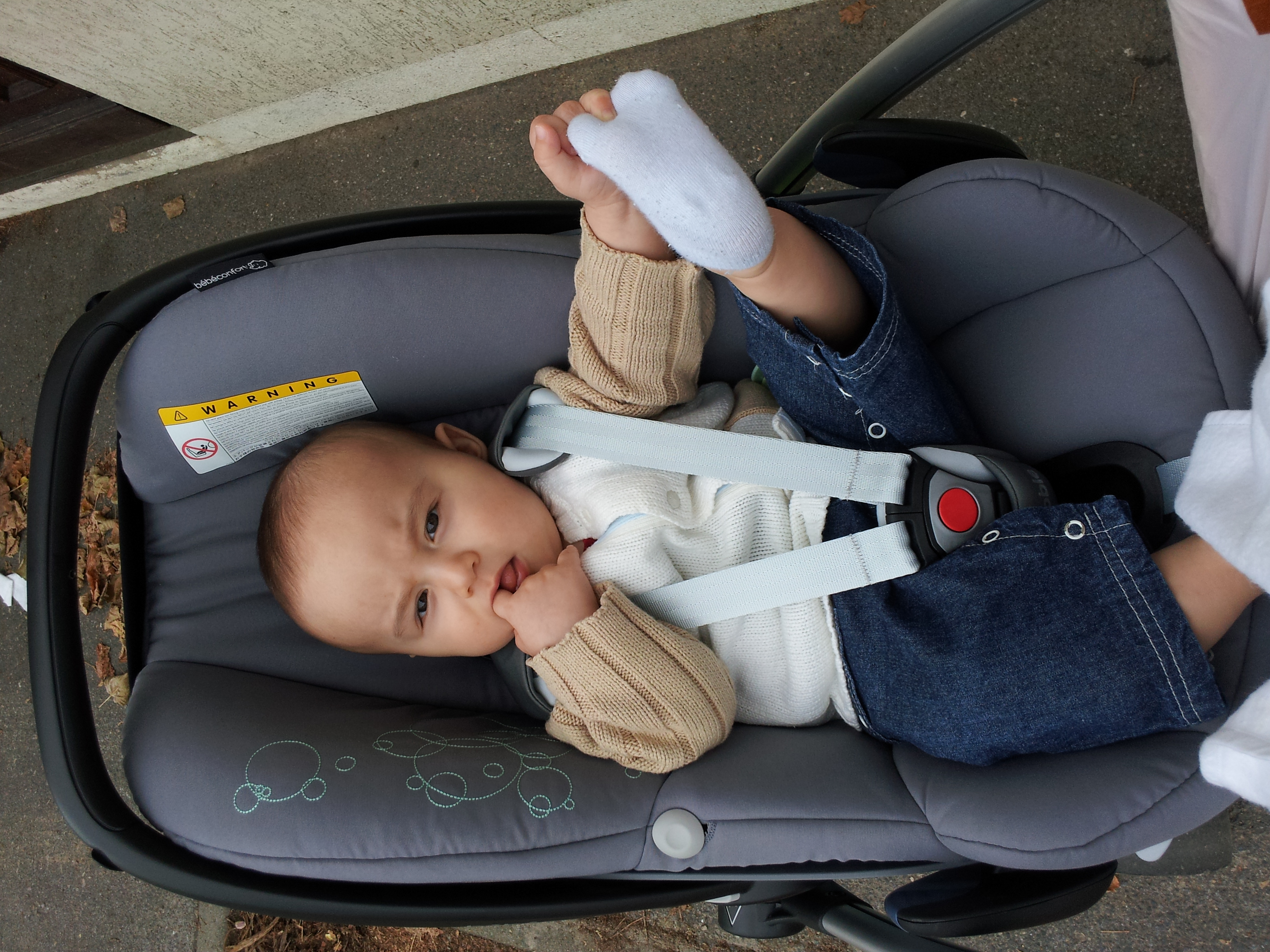 Cosy Pebble Ou Streety Help Achats Pour Bebe Forum Grossesse Amp Bebe Doctissimo Cosy Pebble Ou Streety Help Achats Pour Bebe Forum Grossesse Amp Bebe Doctissimo