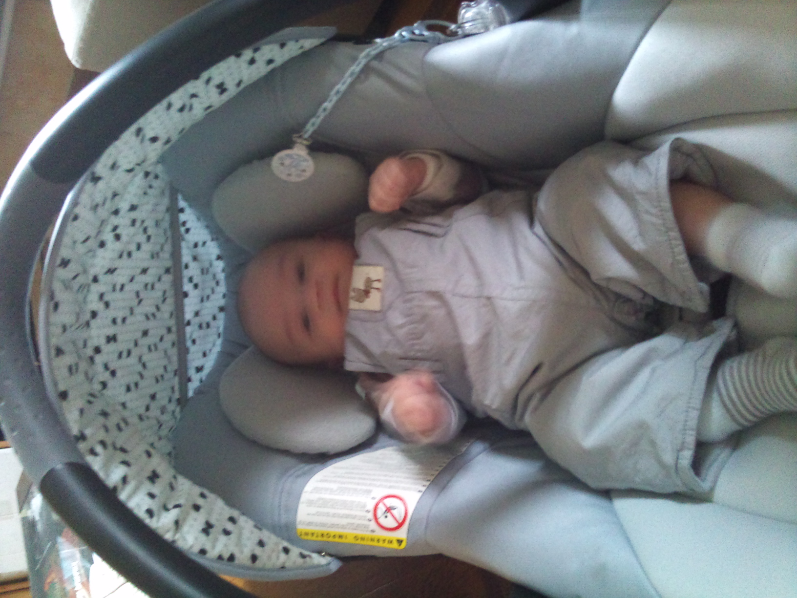 Cosy Pebble Ou Streety Help Achats Pour Bebe Forum Grossesse Amp Bebe Doctissimo Cosy Pebble Ou Streety Help Achats Pour Bebe Forum Grossesse Amp Bebe Doctissimo