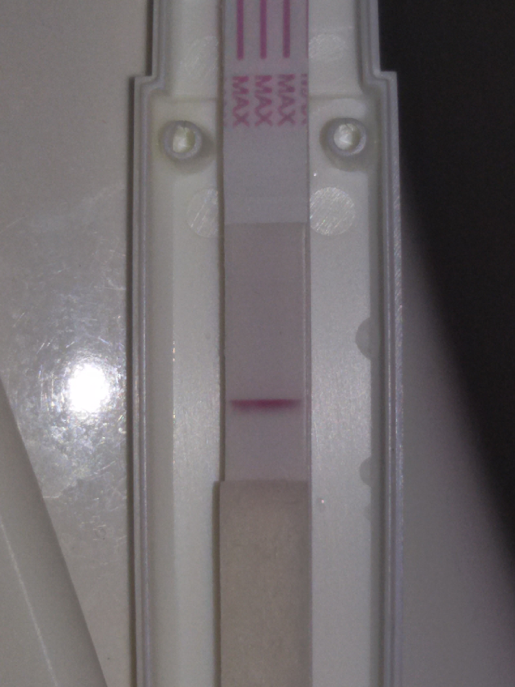 Pas De Règles Mais Pertes Blanches Et Test Négatif