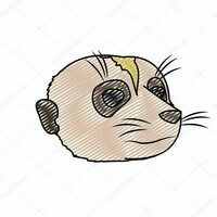 depositphotos_240156720-stock-illustration-doodle-cute-meerkat-head-wild