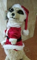 christmas-meerkat-soft-toy_360_1595c64615d32814bef4a5424ff7a2d7
