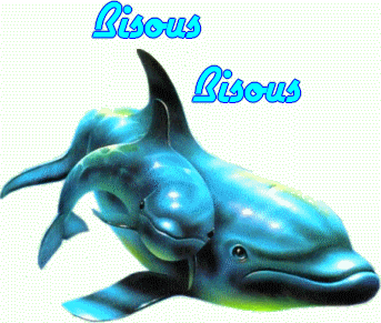 DAUPHINS BISOUS BISOUS